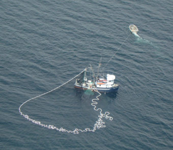 Seine boat. (Photo courtesy ADF&G)
