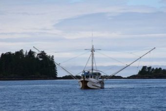 Sitka troller