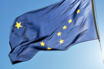 Alaska flag