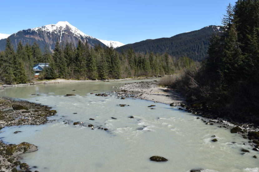 Mendenhall River