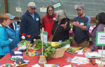 Judges debate criteria and potential awards for one entry.