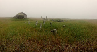 Point Hope’s old townsite. (Photo by Emily Russell/KNOM)