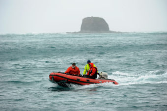 Biologist Jeff Williams, biologist Steve Ebbert and deck hand Andy Velsko return to the US Fish and Wildlife Service research boat R/V Tiglax after checking the conditions to land researchers on Buldir Island in the Aleutians during a trip from Adak Island to Attu Island on a weeklong research mission in southwestern Alaska, on Tuesday, June 2, 2015. Scientists on the R/V Tiglax conduct research in the Alaska Maritime National Wildlife Refuge. (Photo by Bob Hallinen / Alaska Dispatch News)