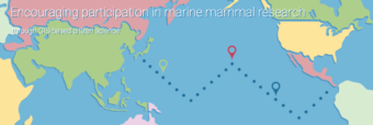 The Whale mApp is a new technology to aid citizen scientists in reporting sightings of marine mammals. Screenshot from whalemapp.org.