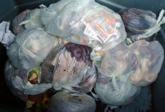 Food waste in biodegradable bags in a dumpster at Portland International Airport in Portland, Ore., Thursday Nov. 20, 2008. Greg Wahl-Stephens/AP