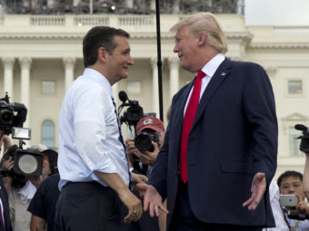 Republican presidential candidates Sen. Ted Cruz of Texas and businessman Donald Trump