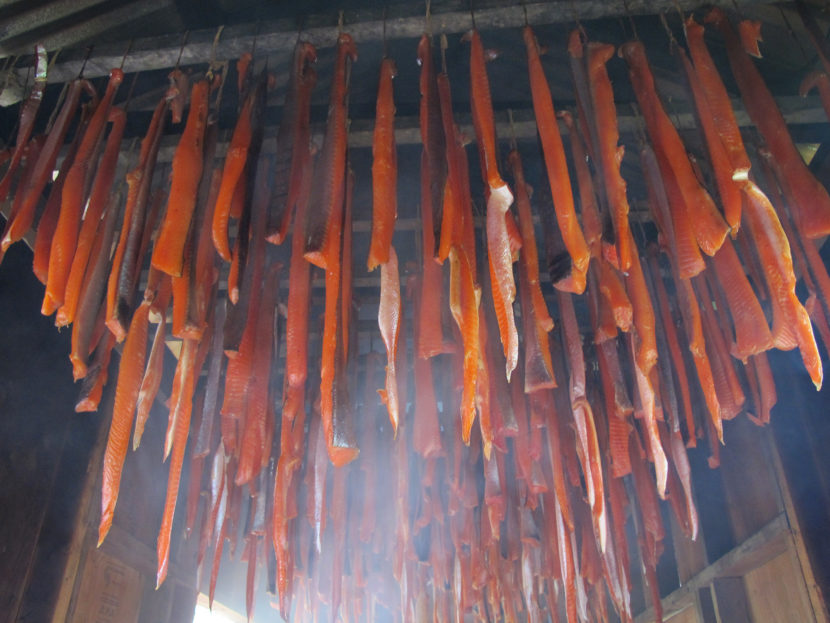 Strips of silver salmon hang in Valerie Davidson’s smokehouse on the Kuskokwim River in Bethel, Alaska. (Photo by Annie Feidt/APRN)