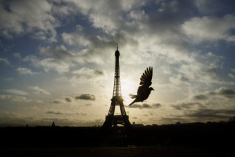 Paris in Mourning