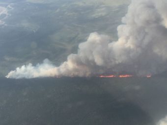 Alaska has seen record-breaking wildfire seasons in recent years. (Photo courtesy of the Alaska Division of Forestry)