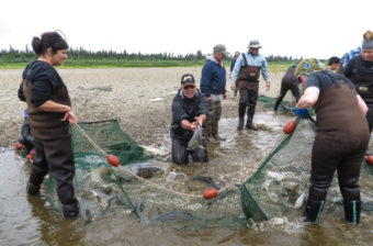 Chip Sharpe goes seining at Educator Cultural Camp in July. His last day as principal will be Jan. 15. (Photo by Laura Kraegel/KNOM)