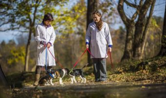 Cornell graduate student Jennifer Nagashima and Smithsonian Conservation Biology Institute research biologist Nucharin Songsasen — lead author and co-author, respectively, of a new paper on IVF in dogs — walk two of the puppies born during their research this summer. Jeffrey MacMillan/Cornell University