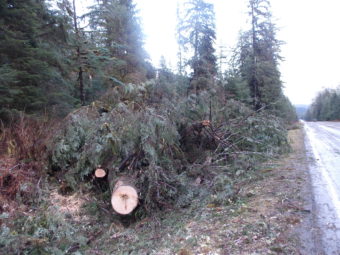 High winds tore through much of Southeast Tuesday morning. (Photo by Joe Viechnicki/KFSK