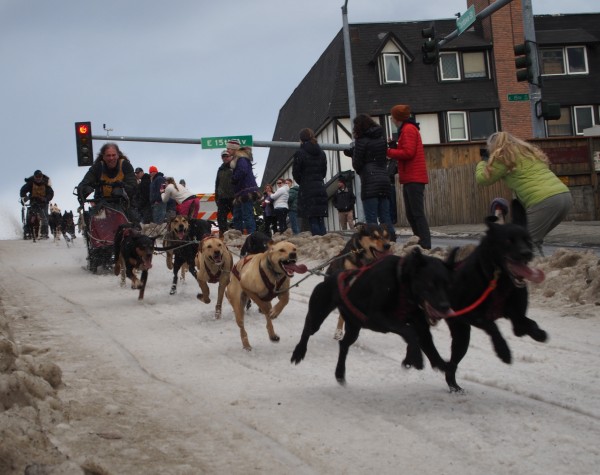 Teams race down Cordova hill on day three of the Fur Rondy Race Invitational. (Photo by Zachariah Hughes/KSKA)