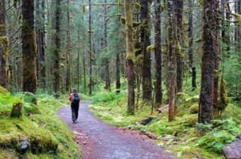 The Forest Service's direction to produce a plan that is “ecologically, environmentally, and economically sustainable” is a significant challenge, as managers reckon with a forest that is huge, but also fragile. (Flickr photo, Joseph)