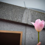 More than a hundred people gathered at Alaska Commercial Fishermen's Memorial May 7, 2016 for the Blessing of the Fleet in Juneau. (Photo by Jennifer Canfield/KTOO)