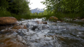 Duck Creek