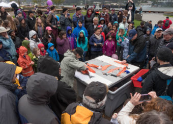A crowd gathers around the fillet contest at the 2016 Juneau Maritime Festival (Photo by David Purdy/KTOO)