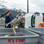 Crews load salmon back into fish totes after a tuck rollover on Egan Drive on July 25th, 2016. (Photo by Mikko Wilson / KTOO)
