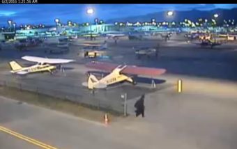 Merrill Field tire slashing surveillance person of interest 2
