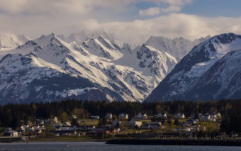 Haines in May 2013.