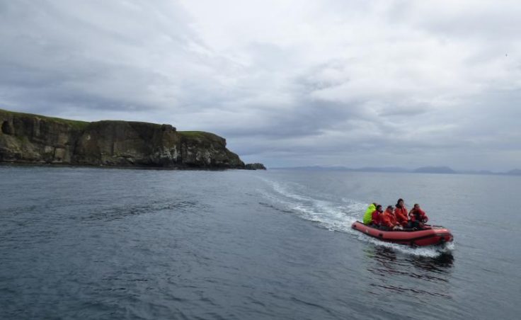 Youth Conservation Corps crew members return from bird counts. (Zoe Sobel, KUCB)