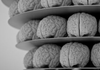 brains
