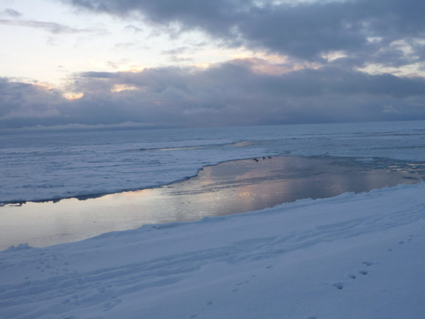 The view from Point Hope, early winter 2015. (Photo by Ellen Chenoweth/University of Alaska Fairbanks)