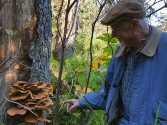 Neil McArthur points out a sulfur shelf mushroom in Homer. (Photo by Shahla Farzan/KBBI)