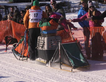 Kelly Maixner can carry up to four dogs in his tow-behind trailer. (Photo by Ben Matheson/Alaska Public Media)