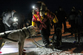 Mitch Seavey was the first musher to reach Huslia on Thursday night, March 10, 2017, during the Iditarod. (Photo by Ben Matheson/KNOM)