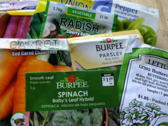 Seed packets can be purchased in local stores or online.