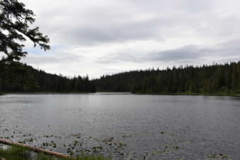Auk'Tah Lake became Angoon's water source in the early 90s. Before that, the village relied on a muskeg for its public water. (Photo by Elizabeth Jenkins/Alaska's Energy Desk)