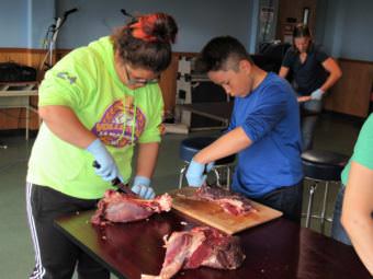 Students at St. Paul’s reindeer camp butcher a female from the island’s herd. This summer, the tribal government organized the camp as part of its effort to develop a more robust reindeer management program. (Photo by Laura Kraegel/KUCB)