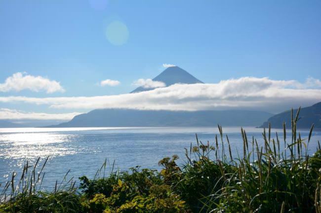Mount Cleveland in July of 2016. (Photo courtesy John Lyons/Alaska Volcano Observatory/U.S. Geological Survey)