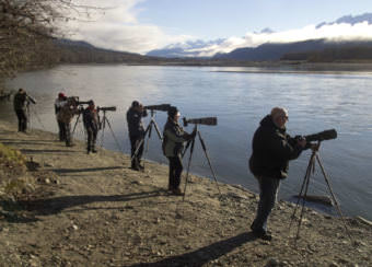 Eagle photographers along the Chilkat River. (Photo courtesy John Hagen)