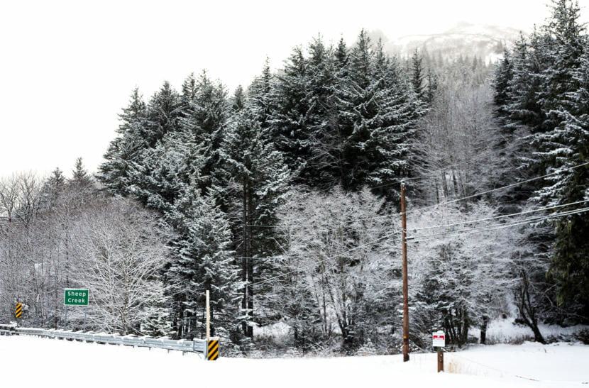 Snow blankets much of the trees lining Thane Road near Sheep Creek on Monday, Nov. 27, 2017. (Photo by Tripp J Crouse/KTOO)