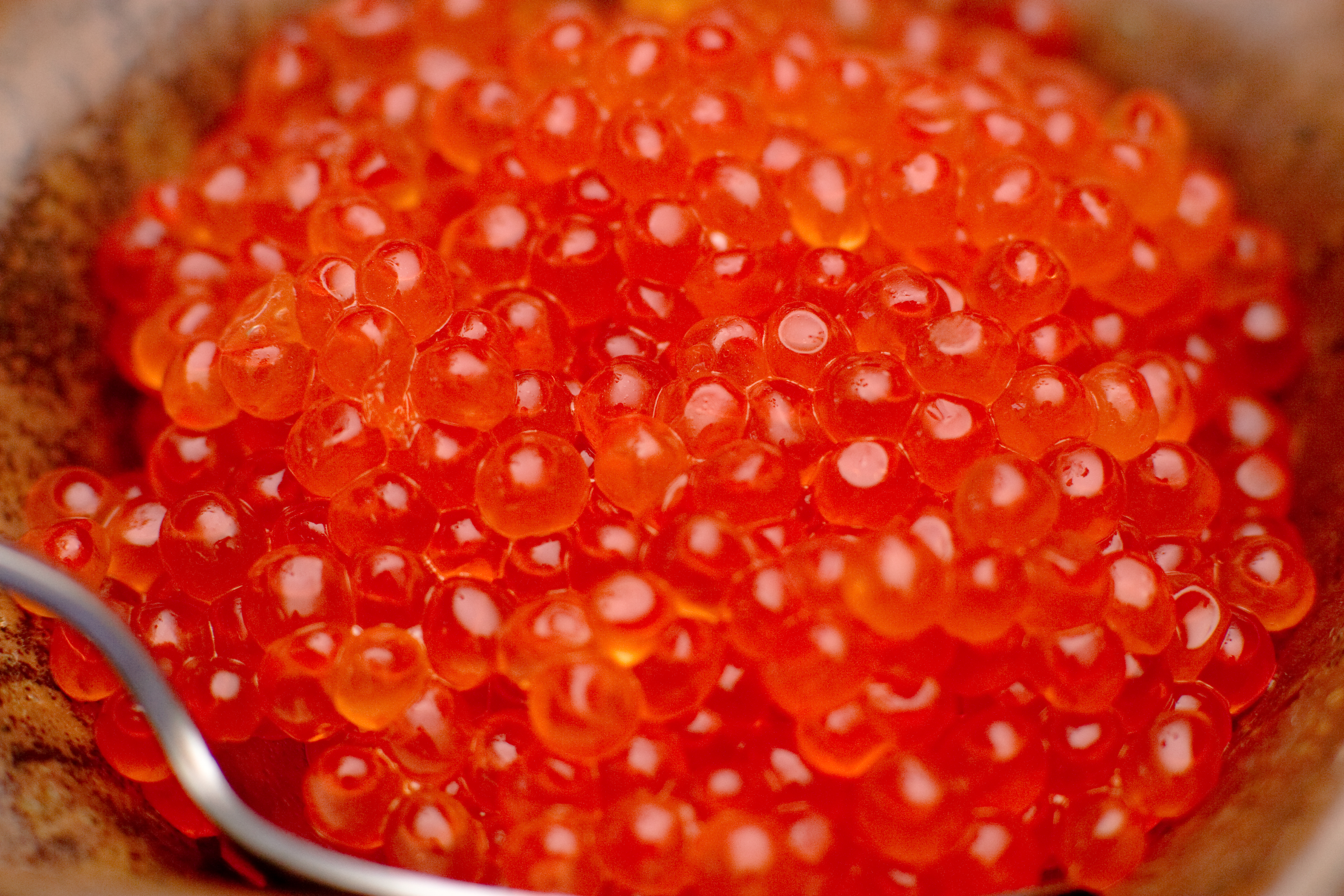 Salmon roe. (Photo by Ken Schwarz / Flickr)