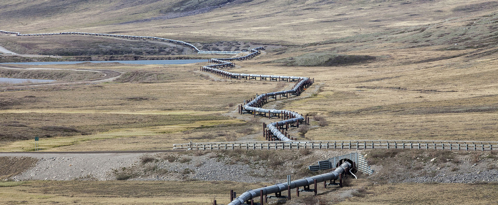 An above-ground section of the Trans-Alaska Pipeline System near the Toolik Lake Research Station in the North Slope Borough. (Photo by Rashah McChesney/Alaska's Energy Desk)