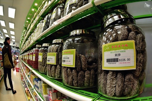 Sea cucumbers in a store in Chicago. (Photo by Juan Carlos Martin/Flickr)