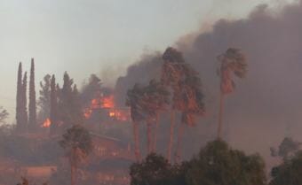 Homes and palm trees burn in the Creek Fire outside of Los Angeles, California on December 5, 2017. (Photo courtesy Los Angeles Fire Department)