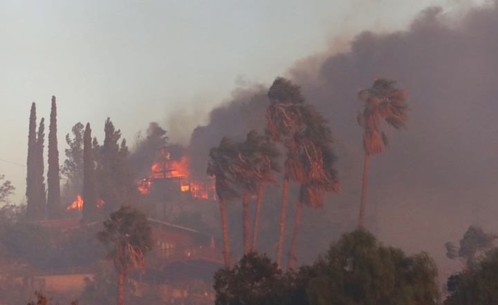 Homes and palm trees burn in the Creek Fire outside of Los Angeles, California on December 5, 2017. (Photo courtesy Los Angeles Fire Department)
