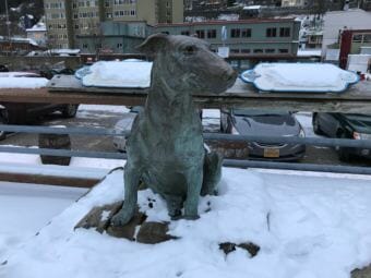 The statue of Patsy Ann, once named Juneau's official greeter, watches the downtown waterfront in December 2017. The Friends of Patsy Ann commissioned the famous bull terrier's statue, which was presented in July 1992. (Photo by Julia Caulfield/KTOO)