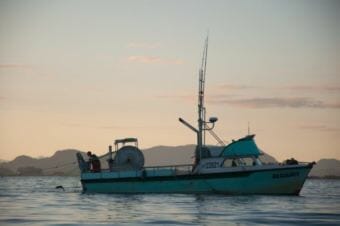 The F/V Resource pulls salmon up in a gillnet during a summer opener. (Photo by Berett Wilber/KHNS)