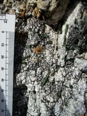 An ore sample from Niblack mine exploration. Bills before Congress would speed construction of a road linking it to the Prince of Wales Island system. (Photo courtesy Healtherdale Resources.)