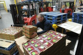 Joe Allen unloads raspberries from a van at the Carrs Safeway distribution center in Anchorage on Feb. 8, 2018. (Photo by Bob Hallinen/Anchorage Daily News)