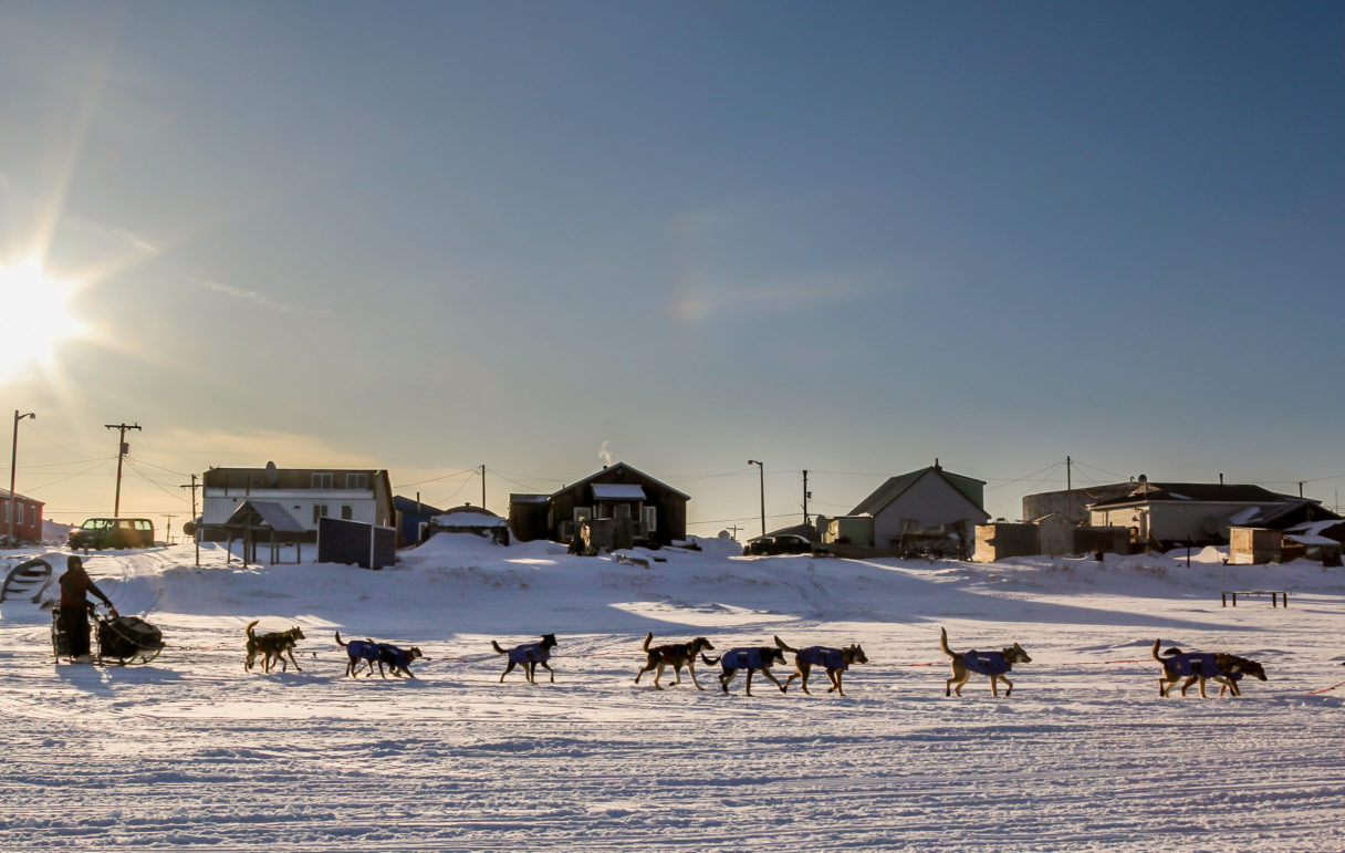 Nic Petit mushes out of Unalakleet on Sunday. (Photo by Zachariah Hughes/Alaska Public Media)