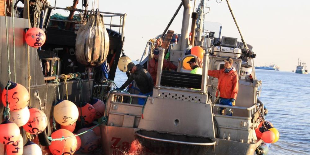 The Bristol Bay Fish Expo aims support commercial fishing in the region, while at the same time fostering community development. The proceeds from the expo will benefit Little Angels Childcare Academy in Naknek. (Photo courtesy Sarah Grace Durrance)
