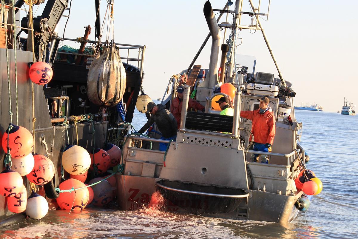 The Bristol Bay Fish Expo aims support commercial fishing in the region, while at the same time fostering community development. The proceeds from the expo will benefit Little Angels Childcare Academy in Naknek. (Photo courtesy Sarah Grace Durrance)