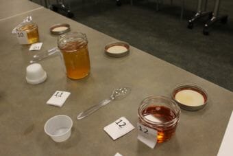 There were two categories for the seal oil: with and without crackling. (Photo by Elizabeth Jenkins/Alaska's Energy Desk)