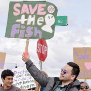 Orutsararmiut Native Council is the first tribe to publicly demonstrate against the proposed Donlin gold mine on July 22.